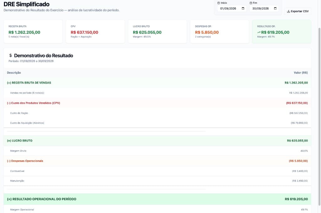 DRE simplificado e leitura gerencial do resultado no Piscis Control